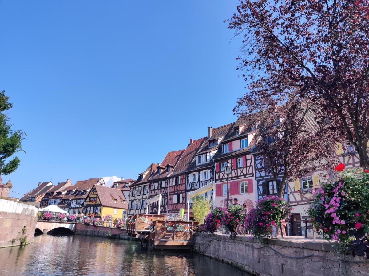 Au Kugelhopf Dore - Centre Historique Colmar Exterior photo