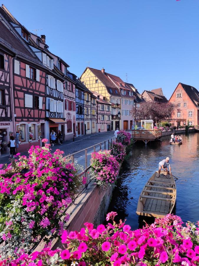 Au Kugelhopf Dore - Centre Historique Colmar Exterior photo